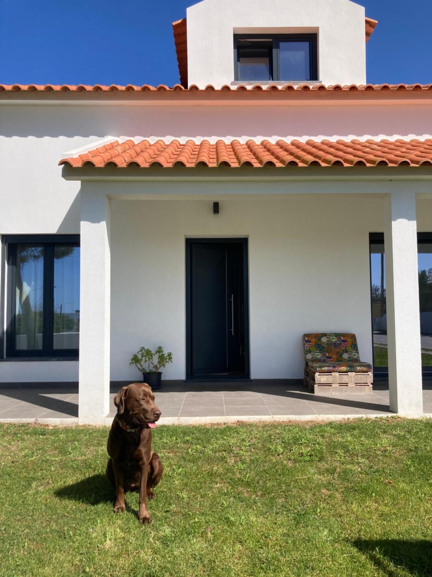 Bed and Breakfast 45 Pines West Acafora Exterior foto
